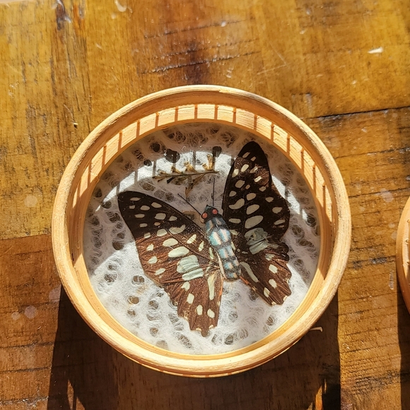 Set of 3 Butterfly 🦋 Coasters - Picture 3 of 6